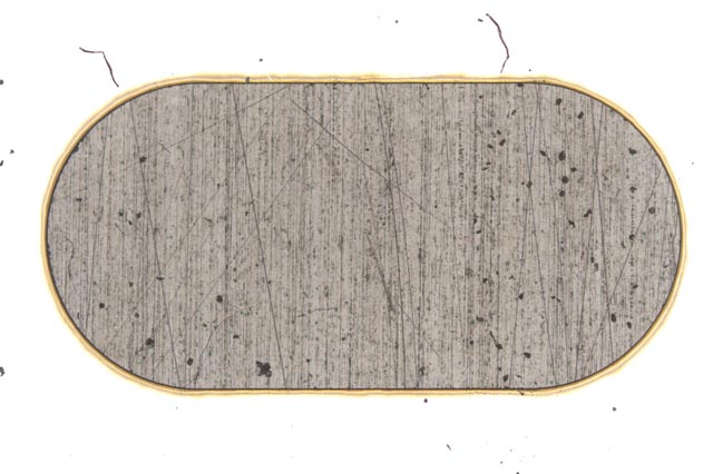 card-image